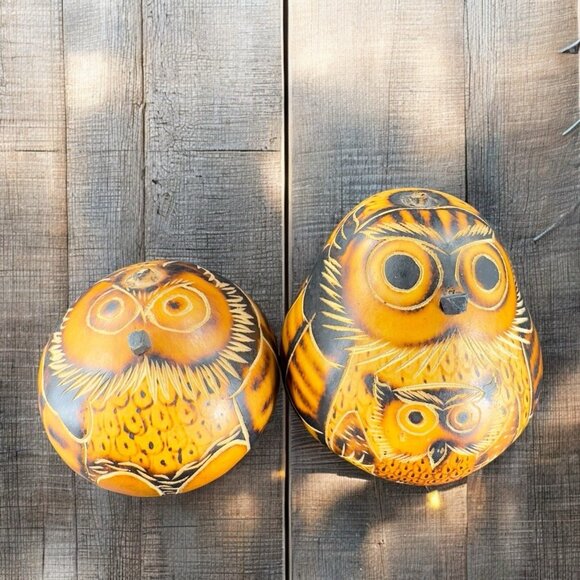 Artisan Handmade Peruvian Painted Carved Bird Owl Decorative Gourd Set 2 Figure - Picture 1 of 10